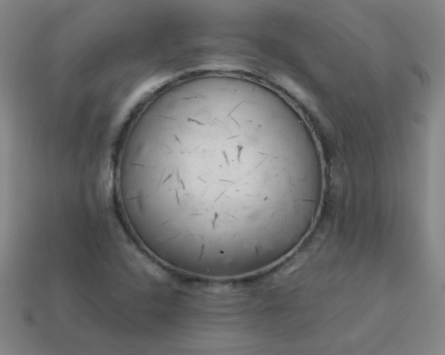 X0000114061408200910191450