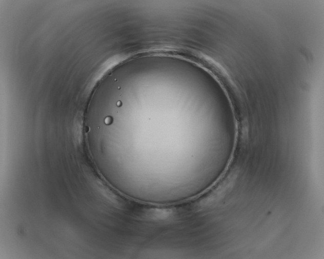 X0000114061409200910191450