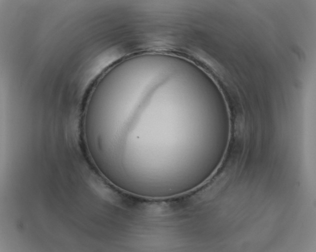 X0000114061410200910191450