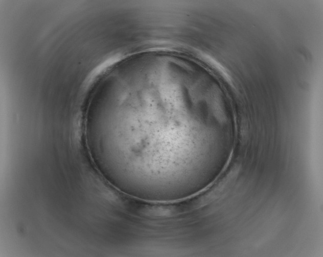 X0000114061411200910191450