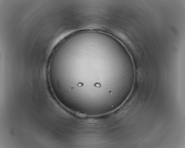 X0000114061412200910191450