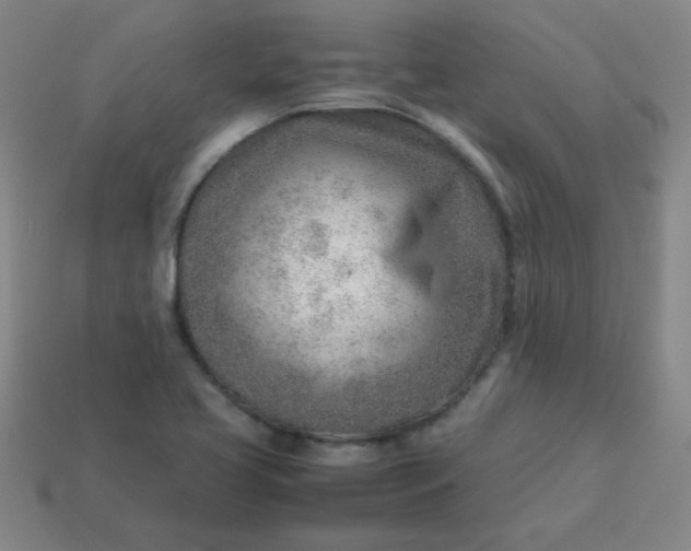 X0000114061413200910191450