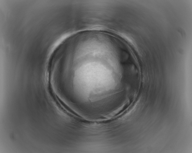 X0000114061414200910191450