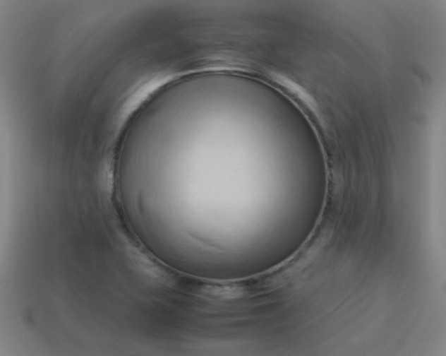 X0000114061415200910191450