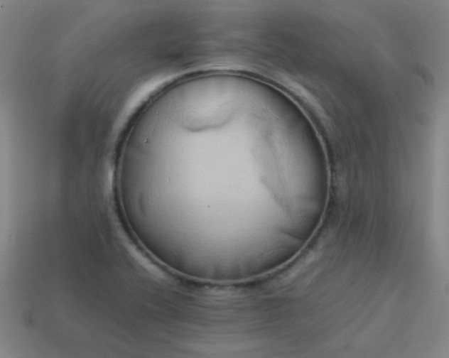 X0000114061416200910191450