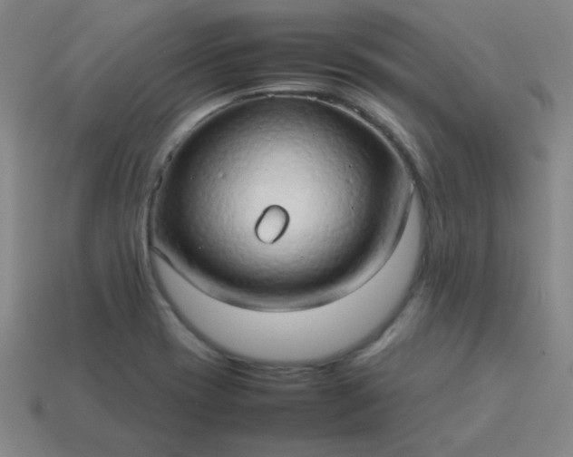 X0000114061417200910191450