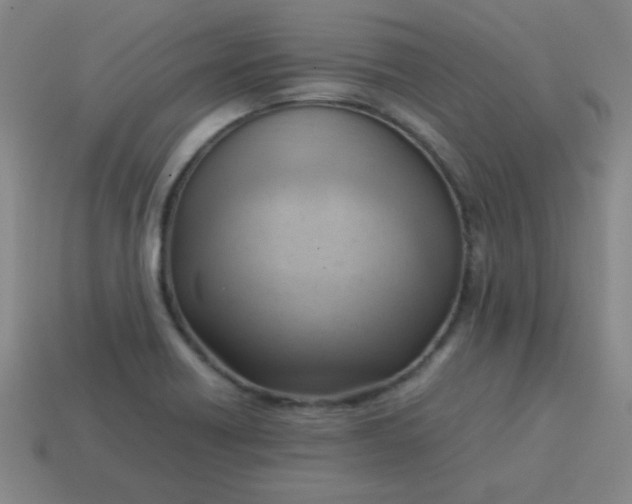 X0000114061418200910191451