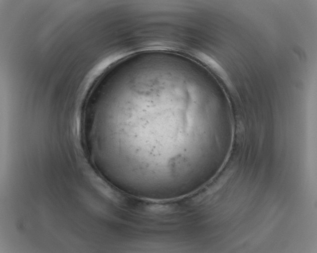 X0000114061419200910191451