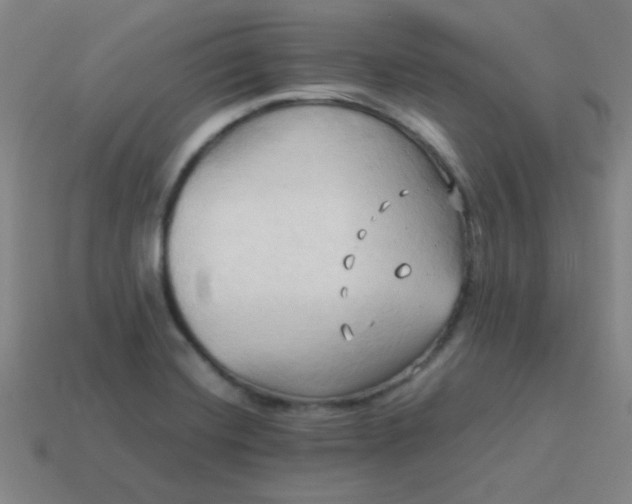 X0000114061420200910191451