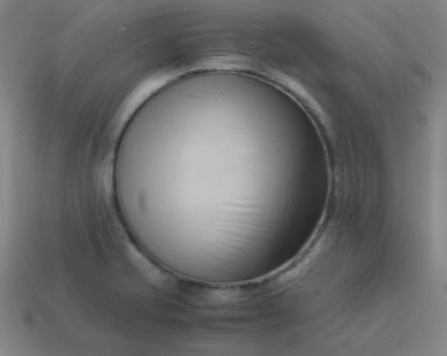 X0000114061421200910191451