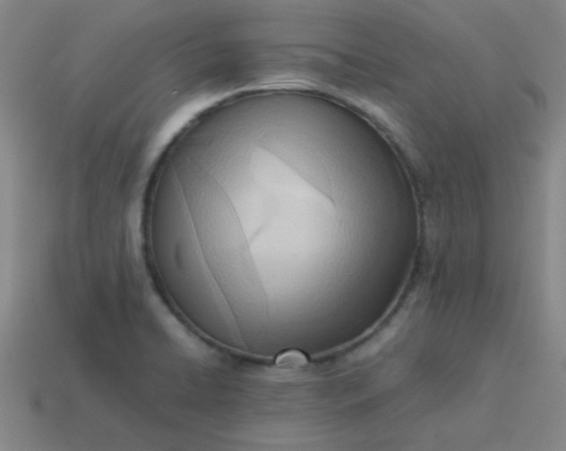 X0000114061422200910191451