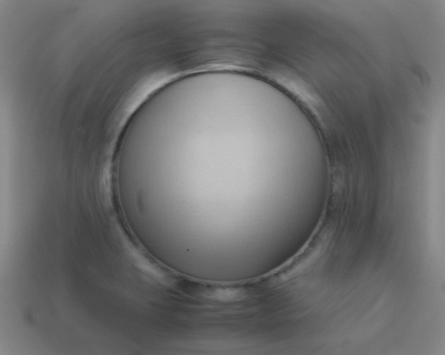 X0000114061423200910191451