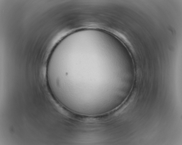 X0000114061424200910191451