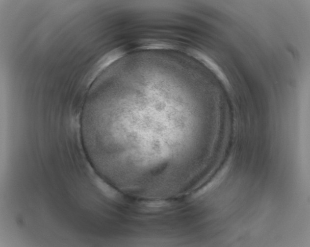 X0000114061425200910191451