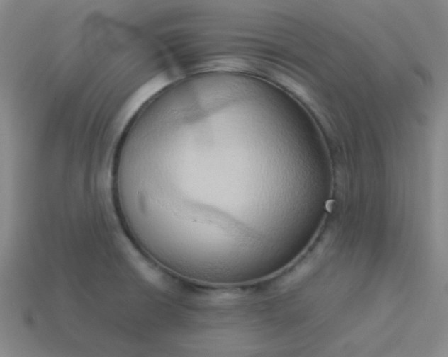 X0000114061426200910191451