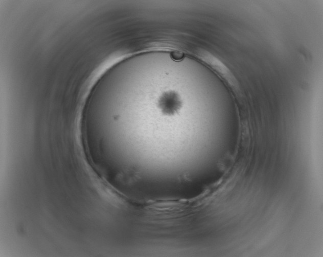 X0000114061427200910191451