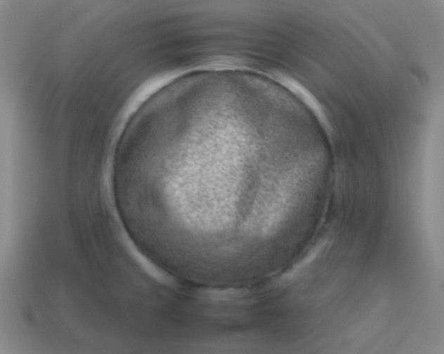 X0000114061429200910191451