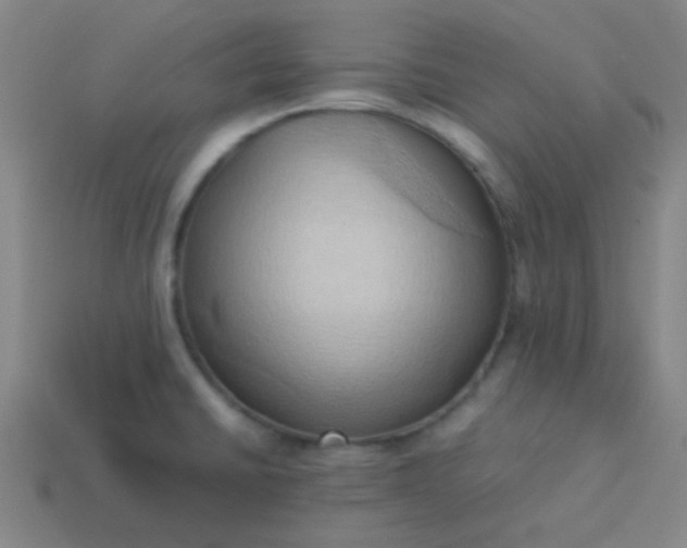 X0000114061430200910191451