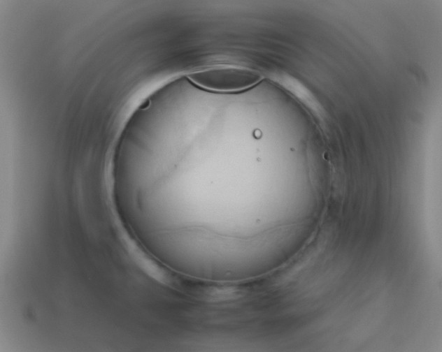 X0000114061431200910191451