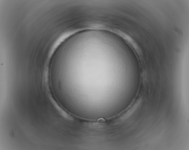 X0000114061432200910191451