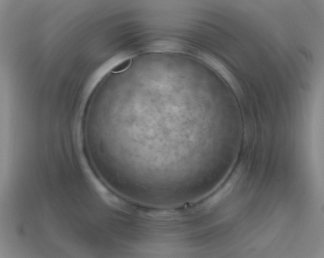 X0000114061434200910191451