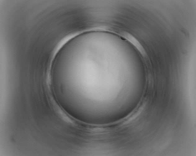 X0000114061436200910191451