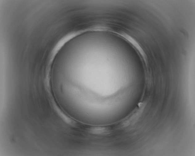 X0000114061437200910191451