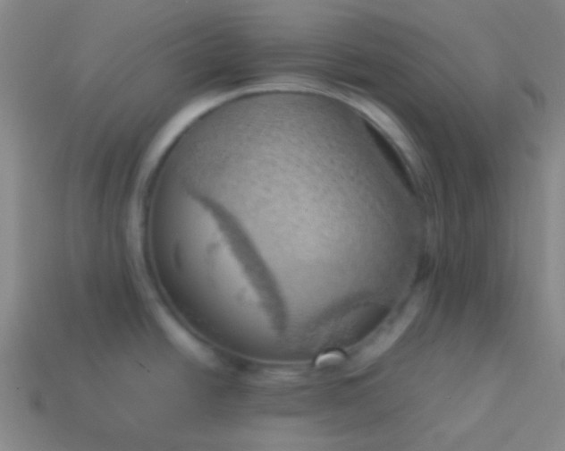 X0000114061438200910191451