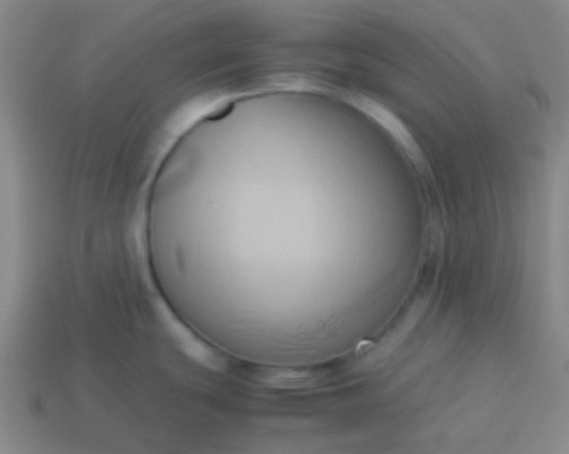 X0000114061439200910191451