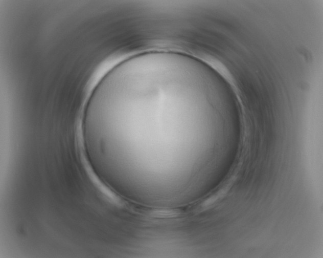 X0000114061440200910191451