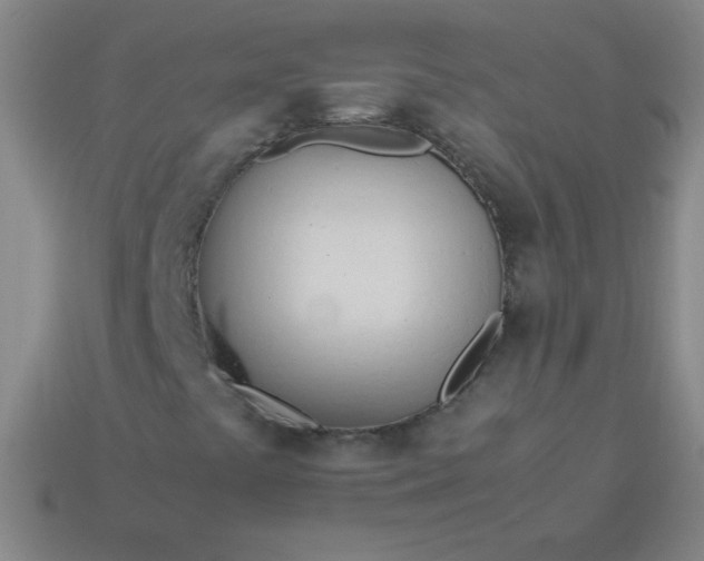 X0000114061441200910191450