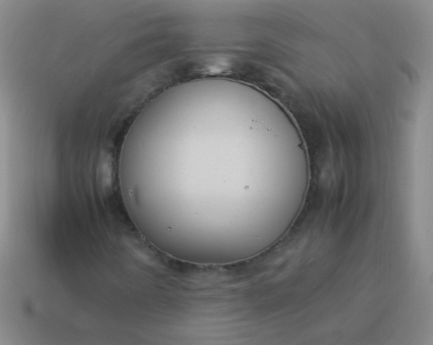 X0000114061442200910191450