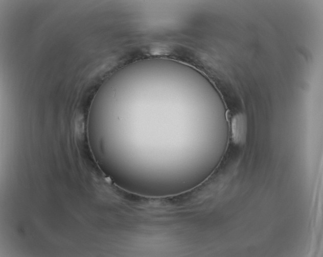 X0000114061443200910191450