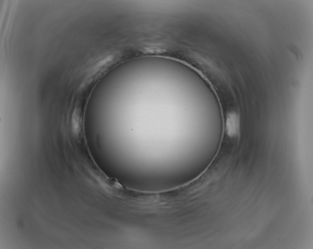 X0000114061444200910191450