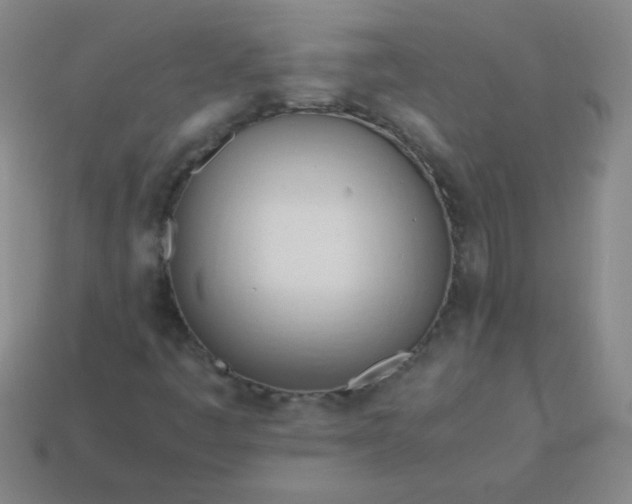 X0000114061445200910191450