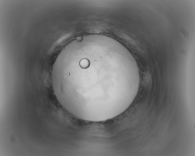 X0000114061446200910191450