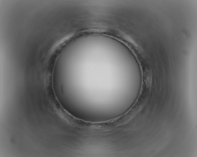 X0000114061448200910191450