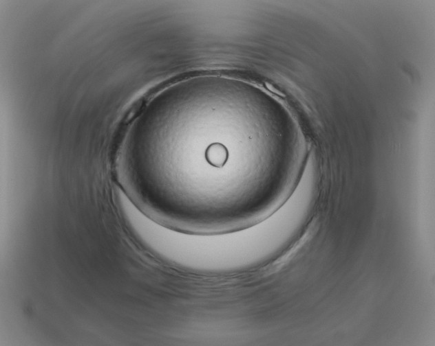 X0000114061449200910191450