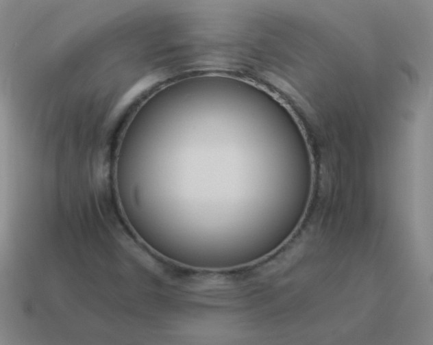 X0000114061450200910191450