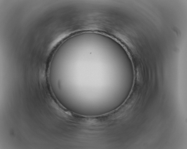 X0000114061452200910191450