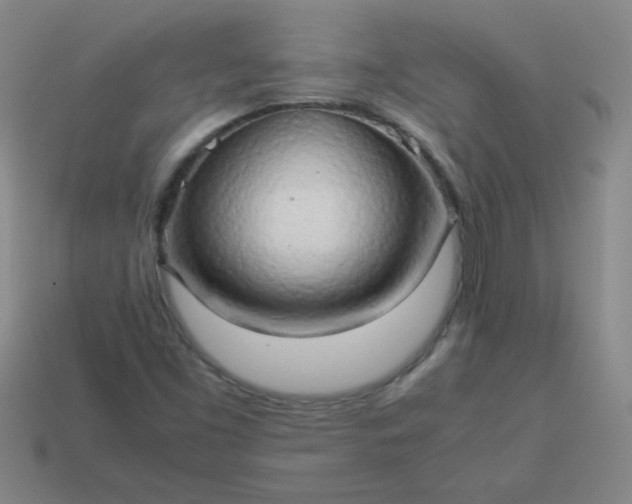 X0000114061453200910191450