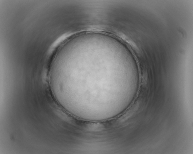 X0000114061454200910191450