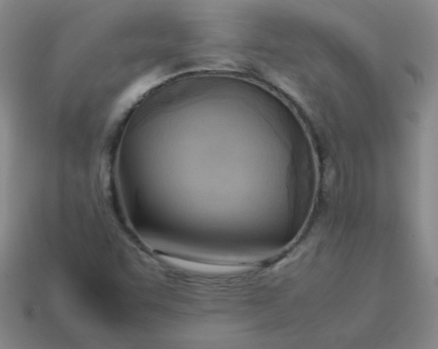 X0000114061455200910191450