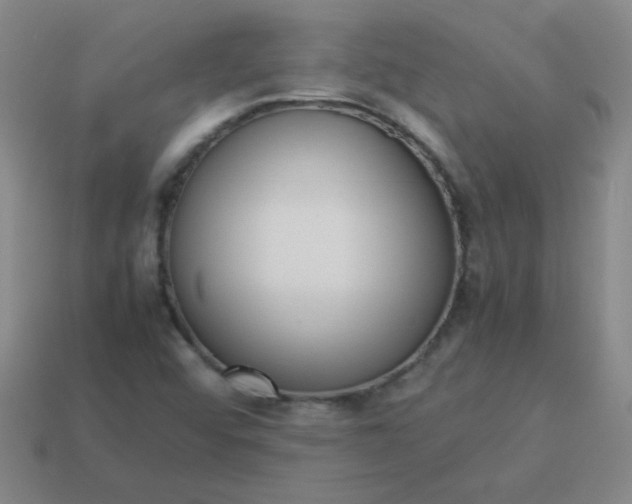 X0000114061456200910191450