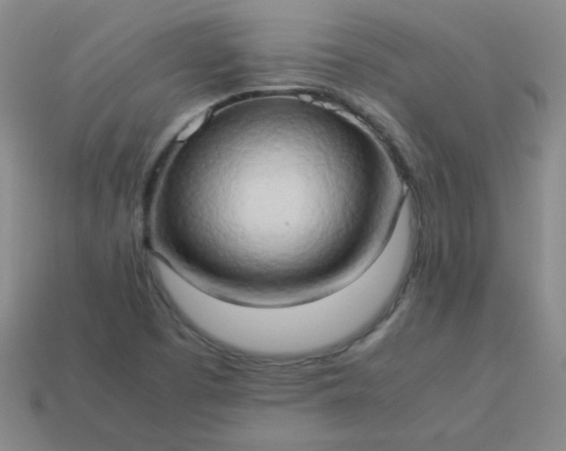 X0000114061457200910191450