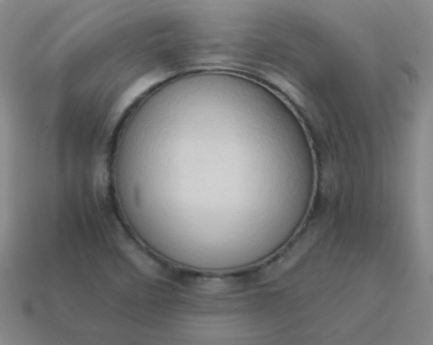 X0000114061458200910191450