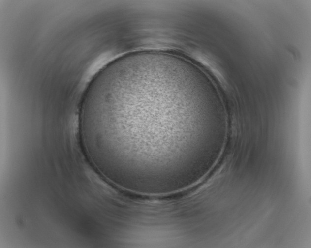 X0000114061459200910191450