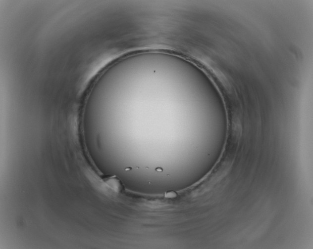 X0000114061460200910191450