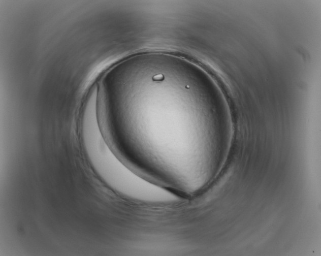 X0000114061461200910191450