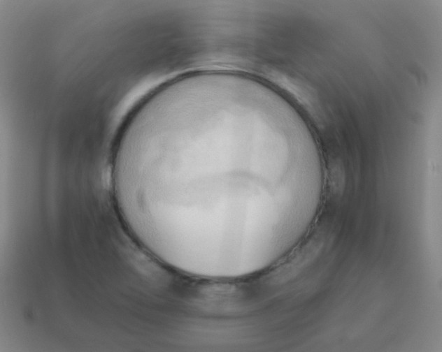 X0000114061462200910191450